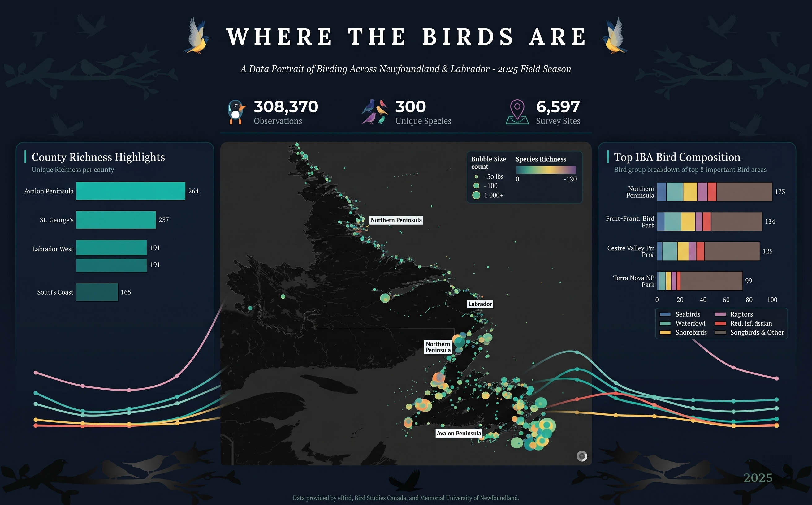 Where the Birds Are data visualization poster